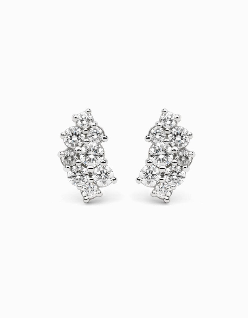 Arracades Bunch Winter · Diamants - Roosik & Co - Arracades