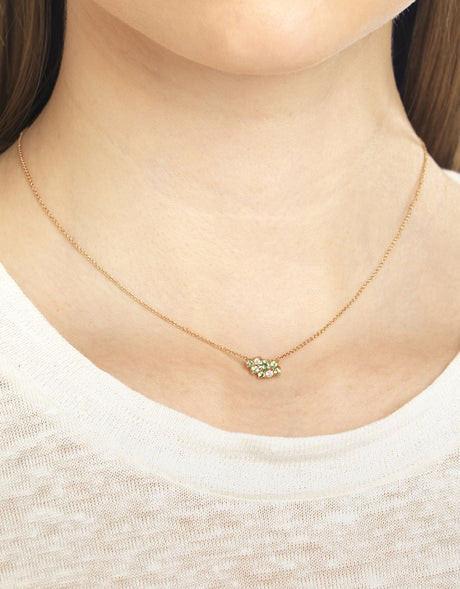 Penjoll Bunch · Nature - Roosik & Co - Penjoll