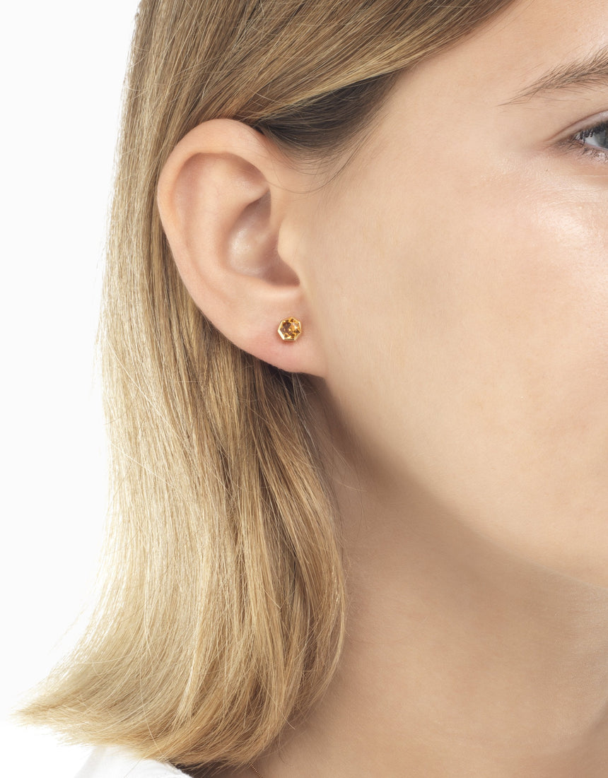 Arracades Glow · Citrí - Roosik & Co - Arracades