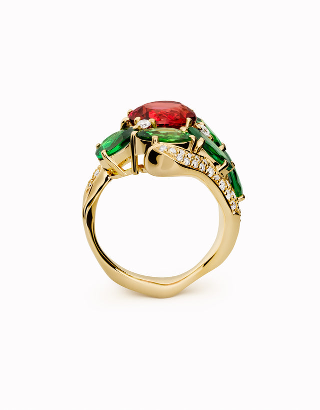 Geografies · Rosella