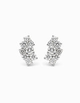 Arracades Bunch Winter · Diamants - Roosik & Co - Arracades