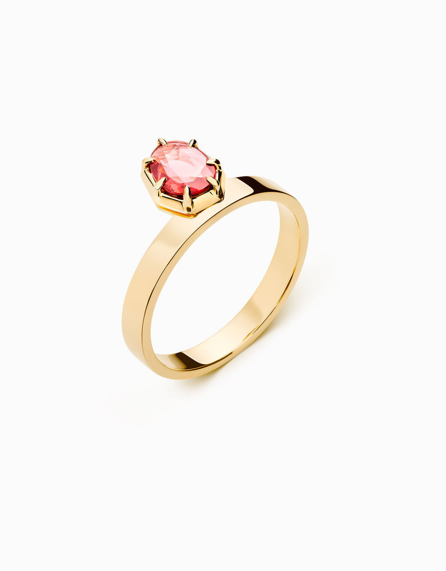 N.54 · Gold and garnet ring