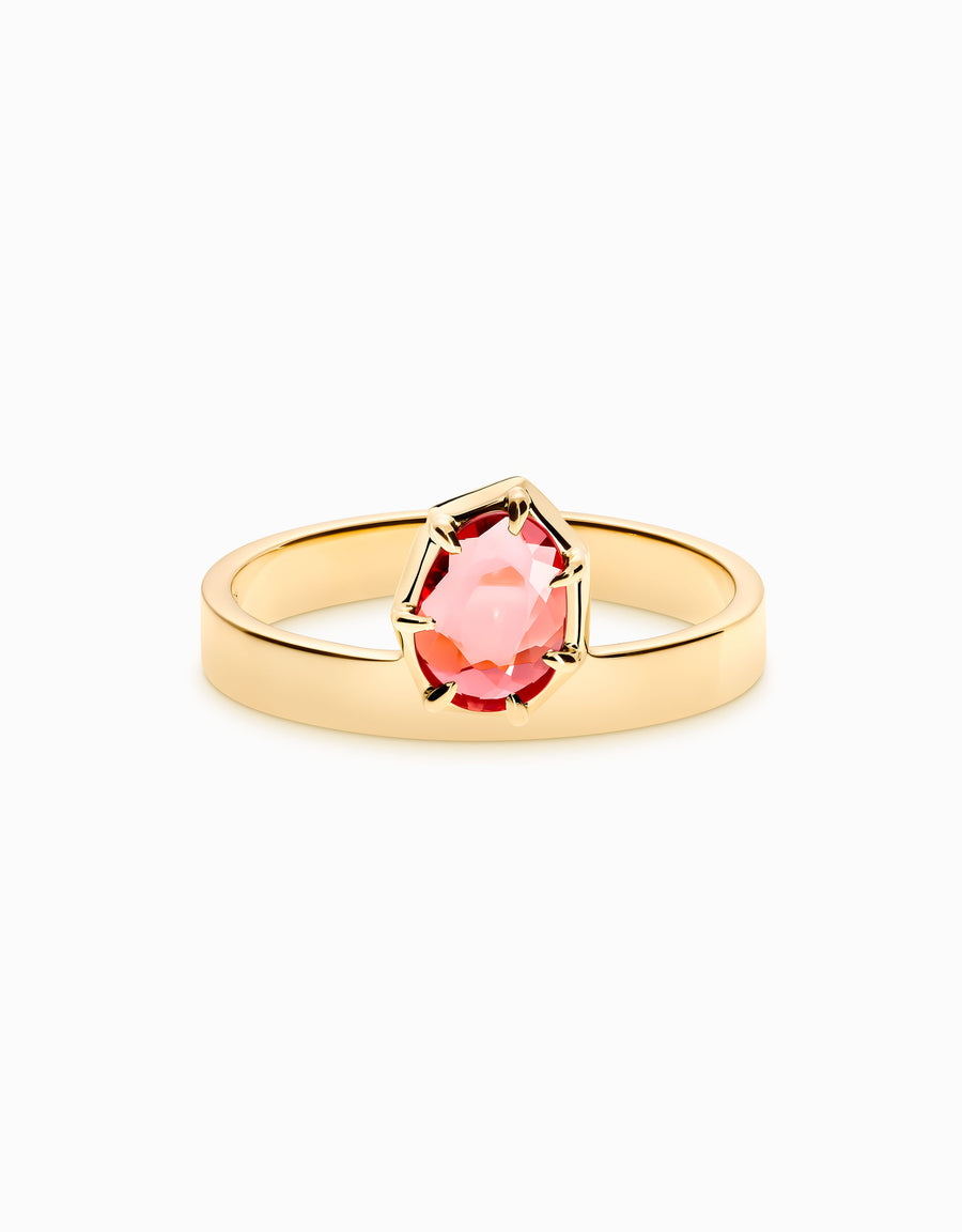 N.54 · Gold and garnet ring