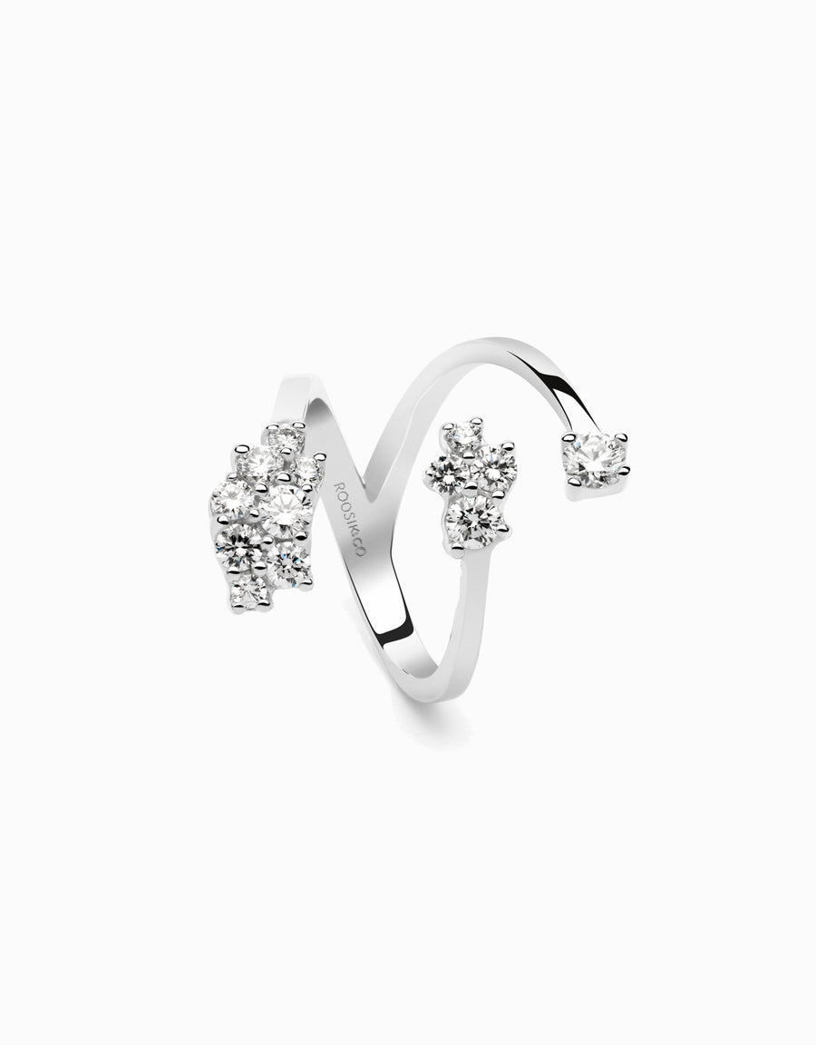 Anell Winter Ivy · Diamants - Roosik & Co - Anell